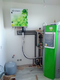 T_Dznov (1200x1600).jpg